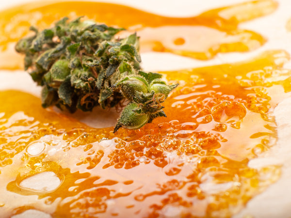 Dried flower vs. Concentrates