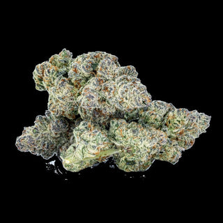 Sixty Seven Sins Gas Face