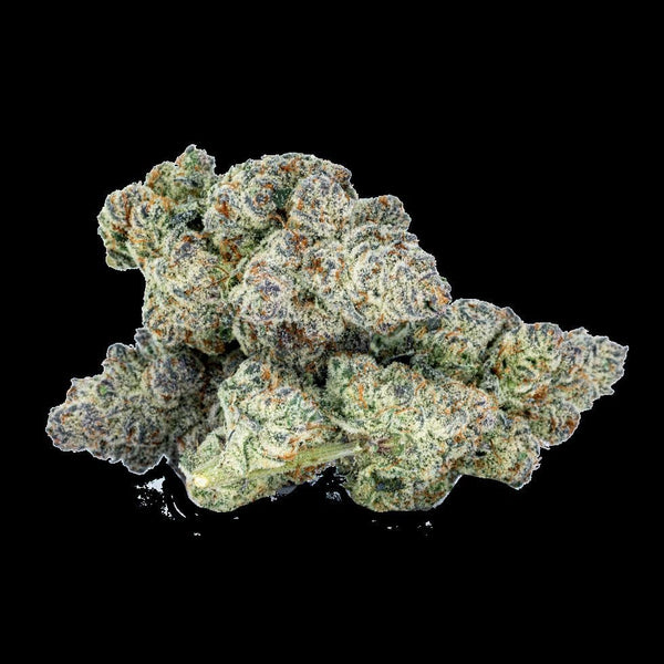 Sixty Seven Sins Gas Face