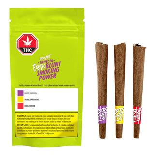 Box Hot Trifecta of Exotic Blunt Smoking Power Infused Blunts