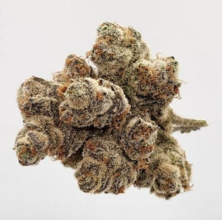 BestBuds Veteran's Choice Lemon Cherry Ghost OG