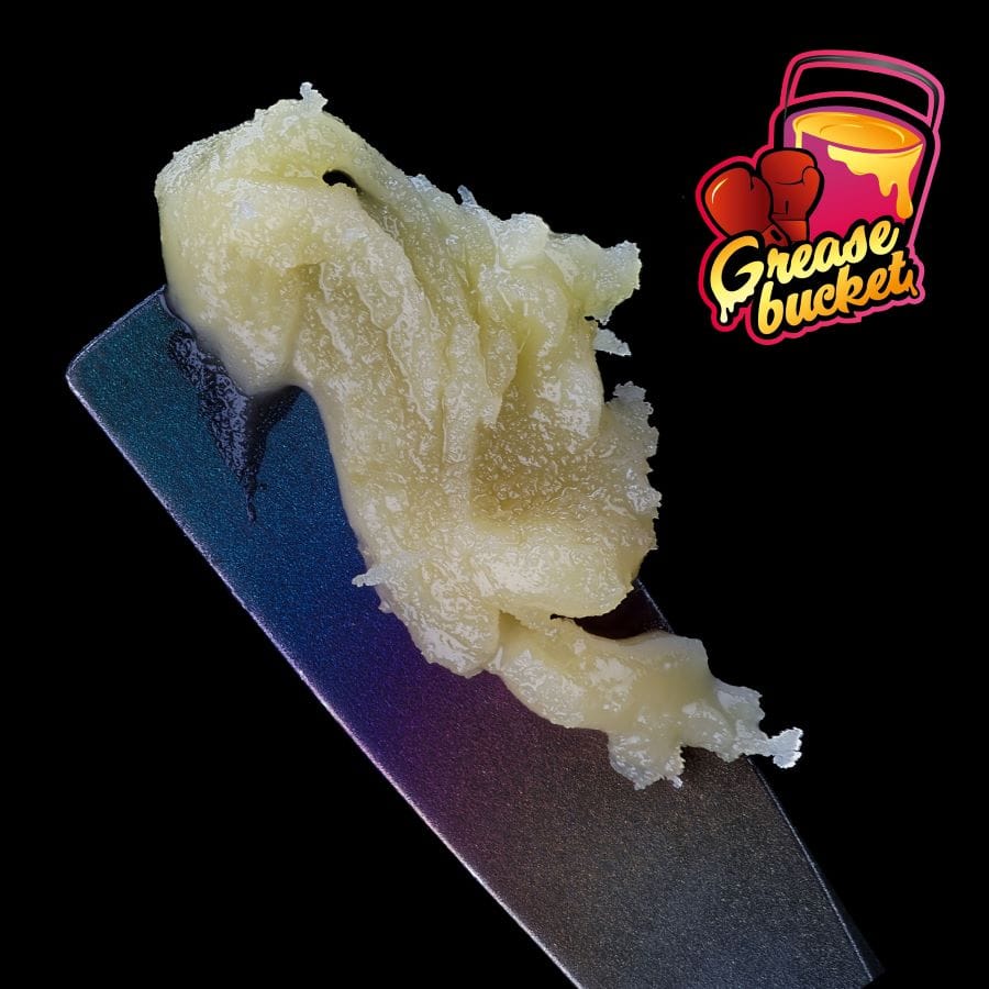 Sauce Rosin Labs Grease Bucket Signature Live Rosin Abba Medix