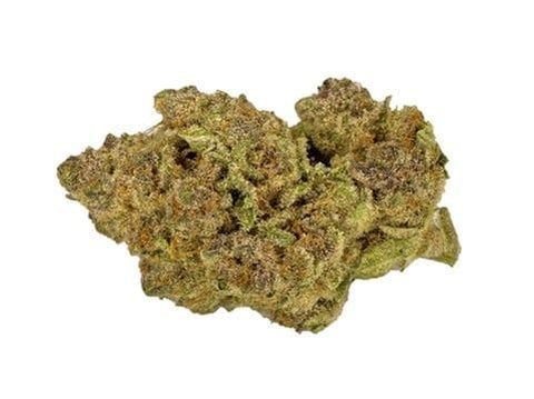 ★金魚草⑫〜⑳★ ECO Growers Choice Organic Kiwi Banana Cabana | Abba Medix