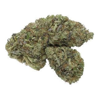 Abba Vets Veterans Kush