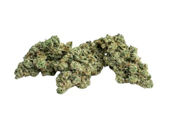 Strains Limited World Flower First Class Gas