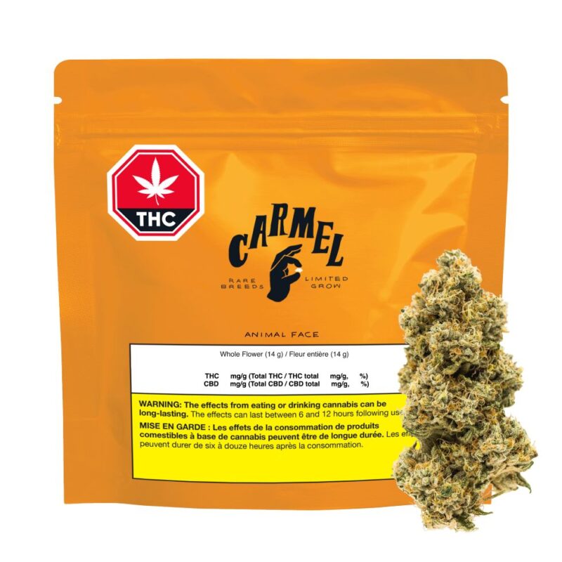Carmel Animal Face