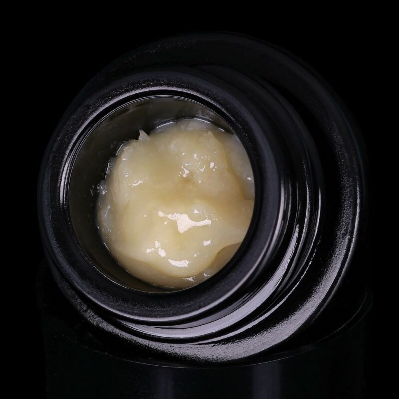 Sauce Rosin Labs GovernMint Oasis 1g Live Rosin