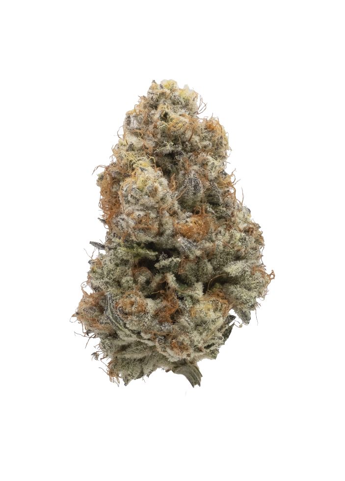 Northern Canna Galactic Guava