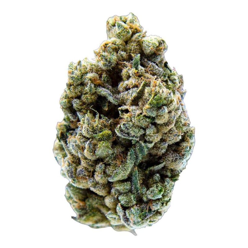 MTL Cannabis Jungl' Cake