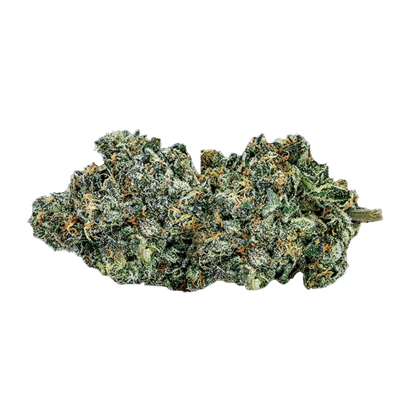 Sixty Seven Sins Fishy Fingers