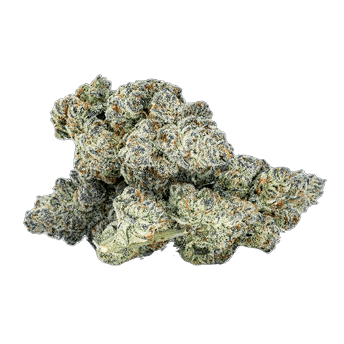 Sixty Seven Sins Gas Face