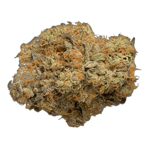 Fleurs De Lise Medellin