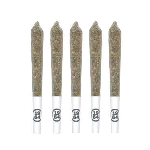 1964 Organic Comatose Pre-Rolls