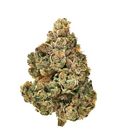 1964 Stinky Pinky