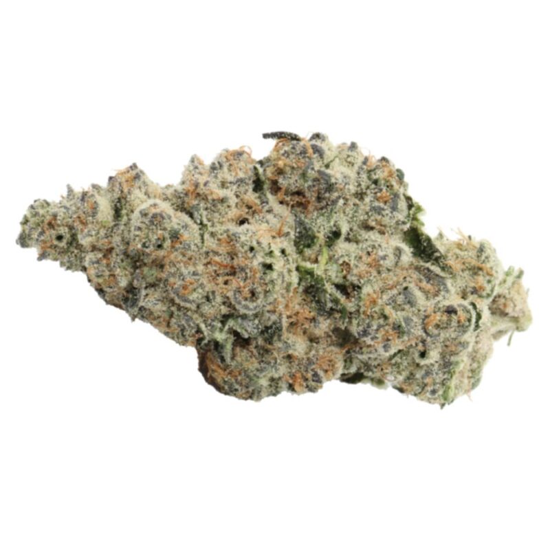 Carmel Bananaconda