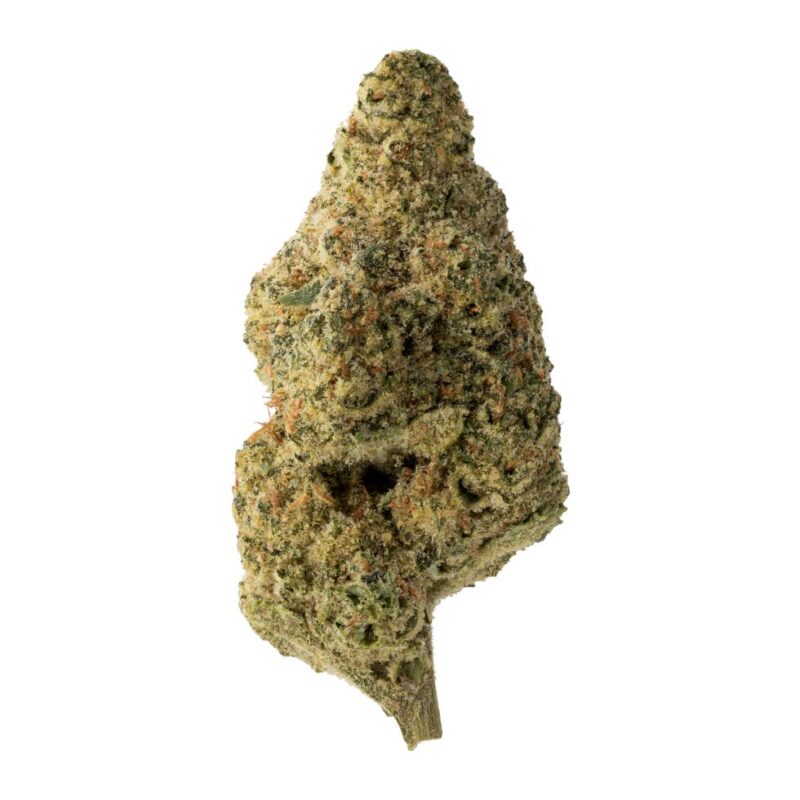 The Loud Plug Lemon Gelato